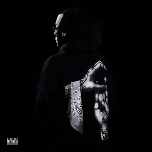 爱上美眉vip激活流程详解
