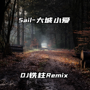 爱上美眉vip激活流程详解
